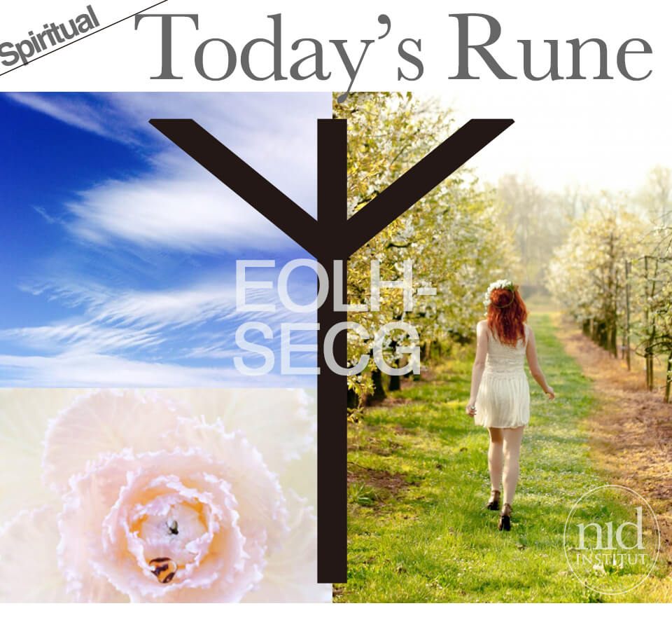 今日のルーン女子イオセッチ