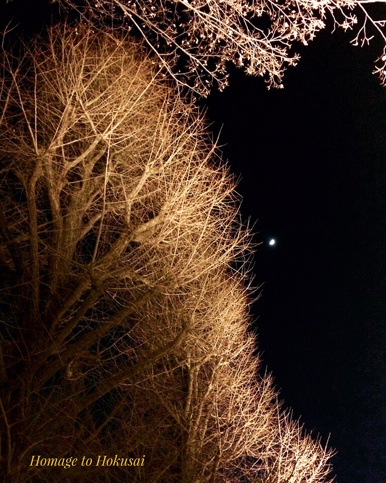 上野北斎展_夜空と木
