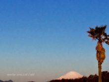 朝2019.3.18_ヤシと富士山
