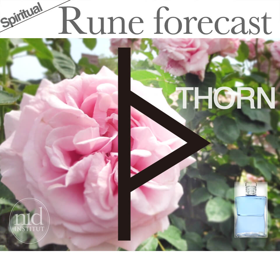 ルーン予報_ソーン